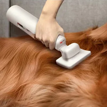 Naminių Gyvūnėlių Plaukų Profesinės Viliojimo Žoliapjovės Pet Vacuum Viliojimo Įrankių Rinkinys 2